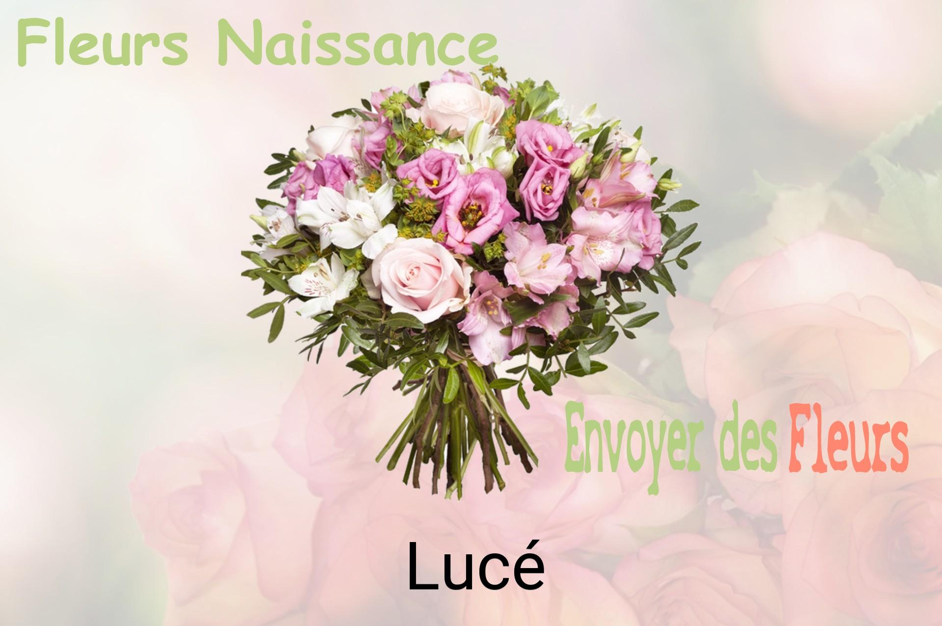 Bouquet de fleurs de naissance livré à Lucé