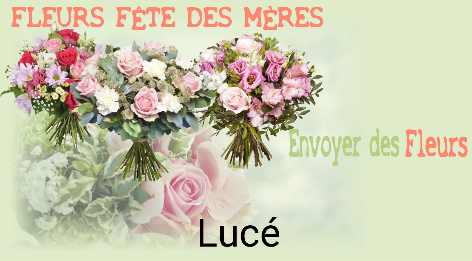Bouquet de Fête des Mères livré à Lucé